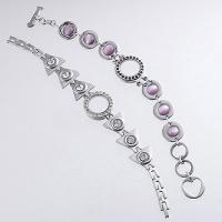 Watchband with Case - Stainless Steel