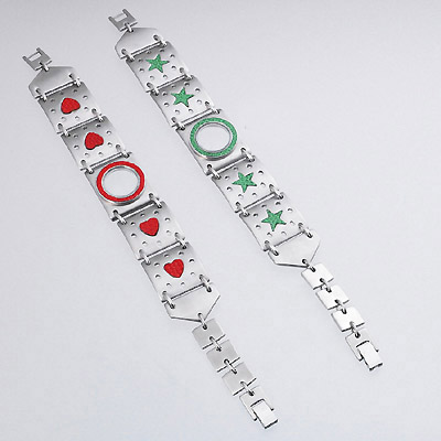 Watchband with Case - Stainless Steel