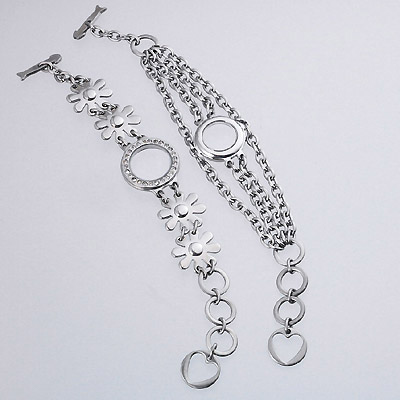 Watchband with Case - Stainless Steel