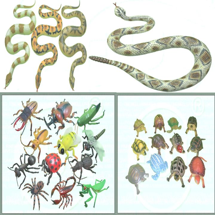 Snake,Tortoise And Insects Toys