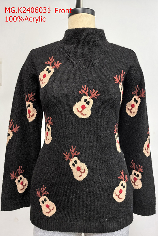 Ladies Roll Neck Pullover