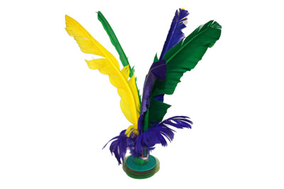 Mardi Gras Items