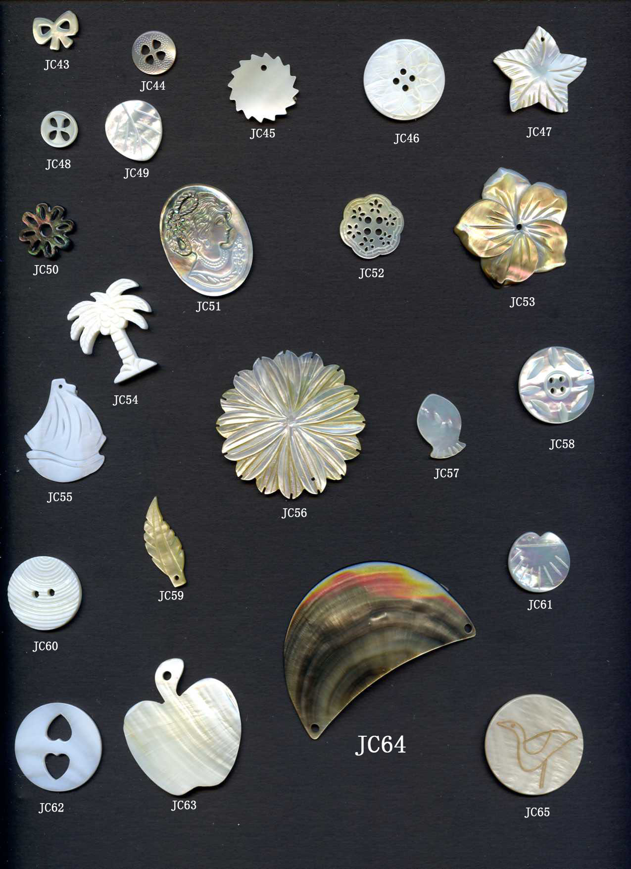 shell accessories