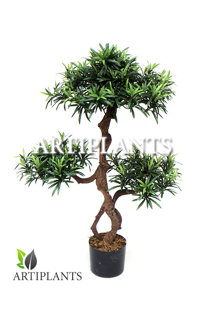 artificial Podocarpus Bonsai with natural trunk