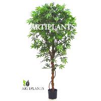 Sell artificial Maple Trees, silk-tree