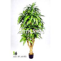 Sell artificial Dracaena Massangeana