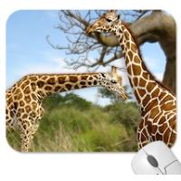 3D Lenticular Mousepad