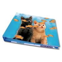 3D Lenticular Folder