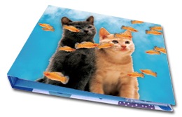 3D Lenticular Folder