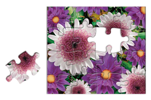 Sell 3D Lenticular Puzzle