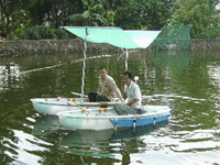 Fishing PC boat