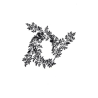 FICUS LEAF