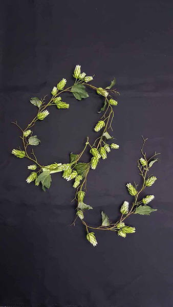 HOPS GARLAND