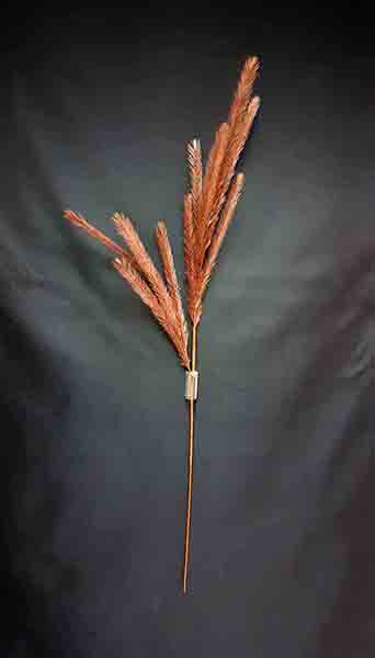 CORTADERIA