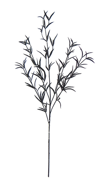 POGONATHERUM