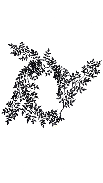 FICUS LEAF