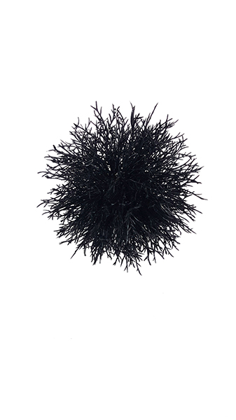 CORAL BALL