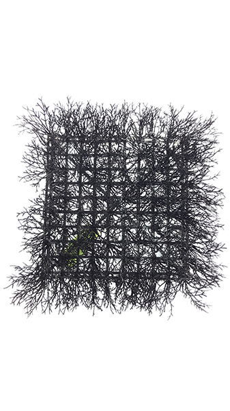 CORAL MAT