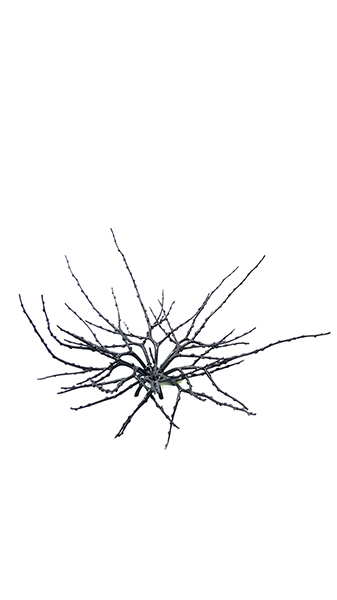 TWIG BOWL