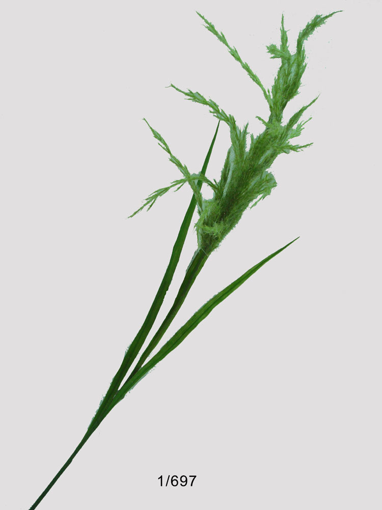 Sell 40 inches FLOCKING GRASS W/3 LVS