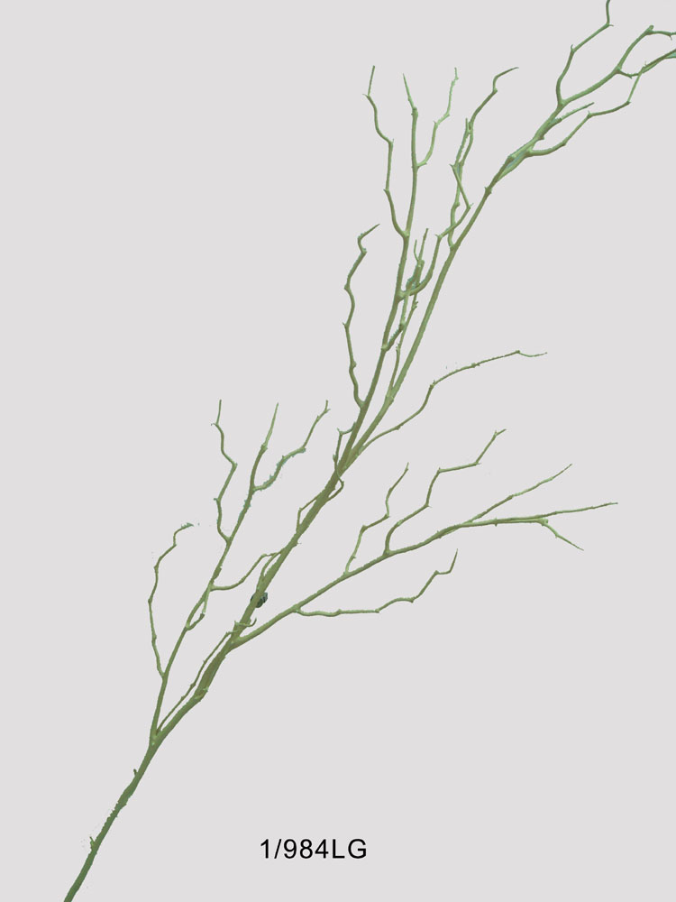 Sell 48 inches WILD BIRCH TWIG