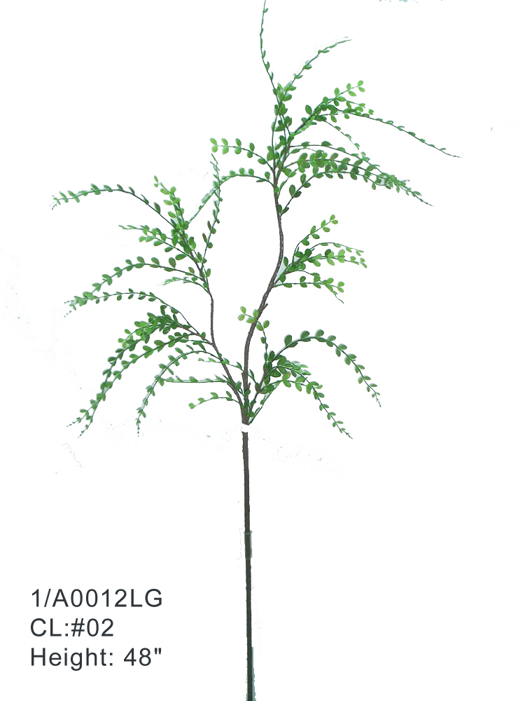 Sell 51 inches SOLEIROLIA SPRAY