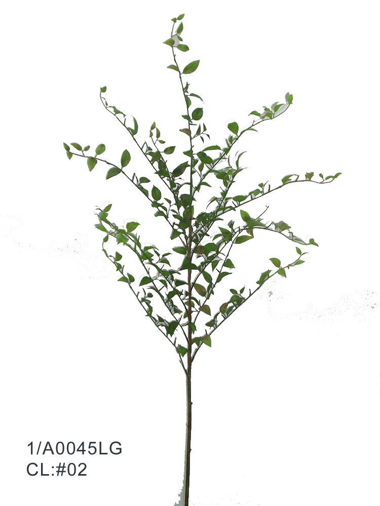 Sell 45 inches SOPHORA SPRAY X 13