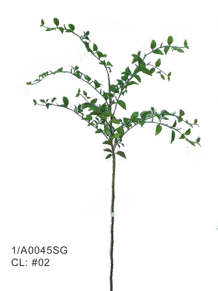 Sell 36 inches SOPHORA SPRAY X 9