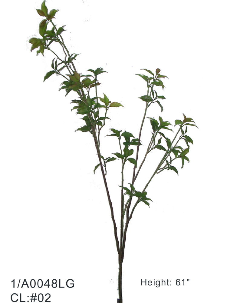 Sell 61 inches FICUS LVS BRANCH W/37 LVS