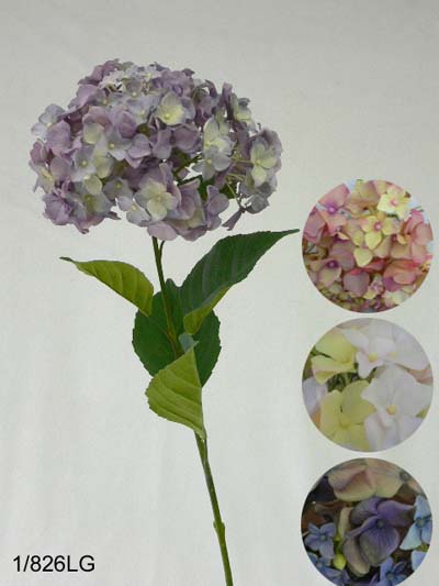 Sell 32 inches Hygragea spray