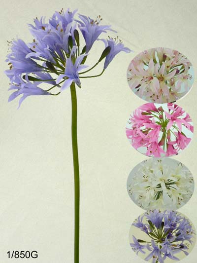 Sell 32 inches Large agapanthus spray