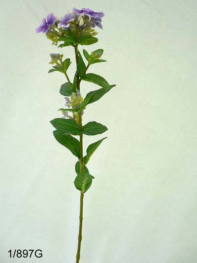 Sell 28 inches Phlox spray. (coating stem)