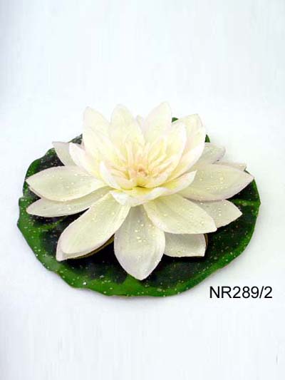 Sell RAINDROP LOTUS ON LVS