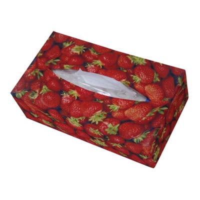 Tissue Box Cover