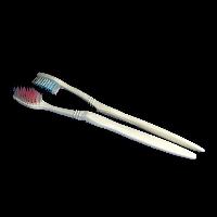 biodegradable disposable Toothbrush