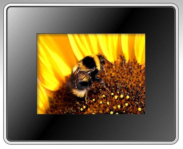 8 inches DIGITAL PHOTO FRAME
