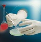 Sell Nitrile exam gloves