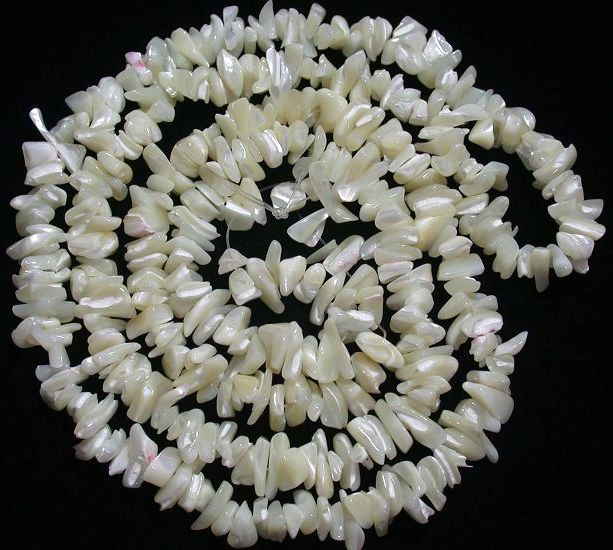 36 inches NICE MIlK WHITE MOP SHELL CHIP Loose Bead 7x10mm