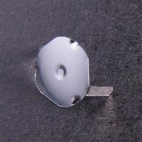 Stainless Steel Domes