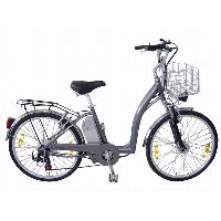 Eelctric bicycle