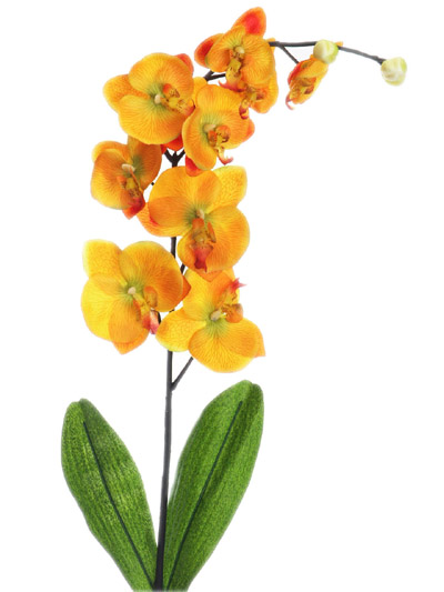 Stem Flower