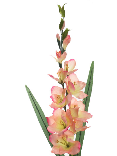 Stem Flower