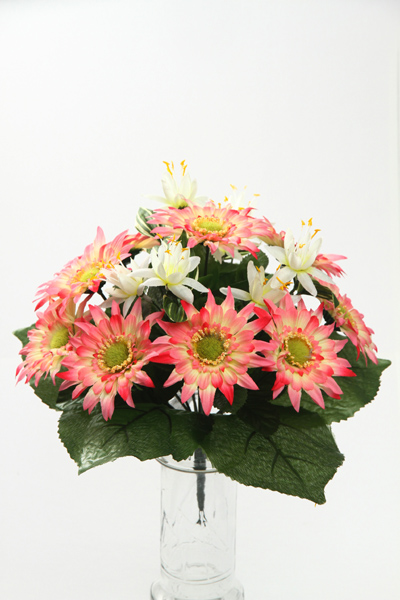 Mixed Gerbera Bush