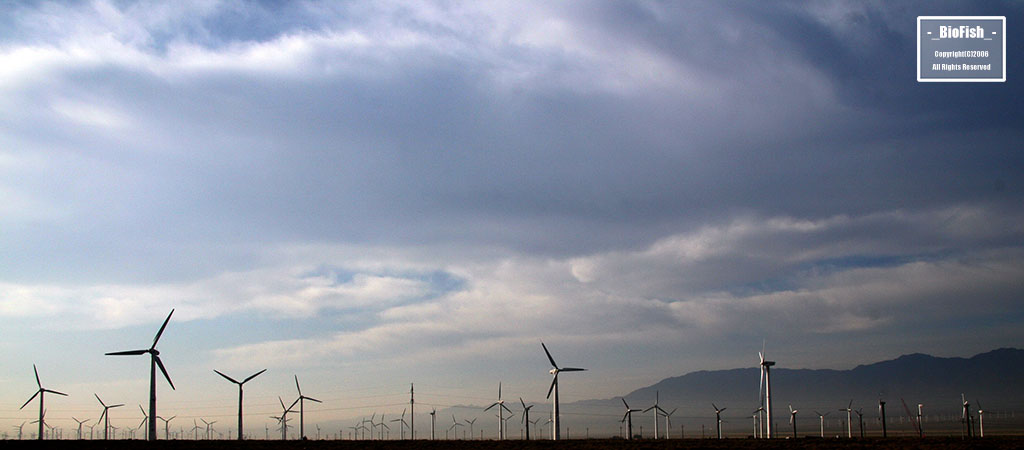 50kw Wind Turbine Generator