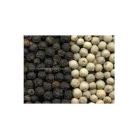 Sell black pepper and white pepper