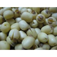 Lotus seeds