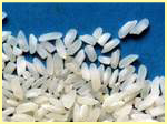 White Rice, jasmine rice, glutinous rice