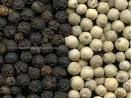 Sell black pepper and white pepper