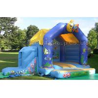 Inflatable Sea World