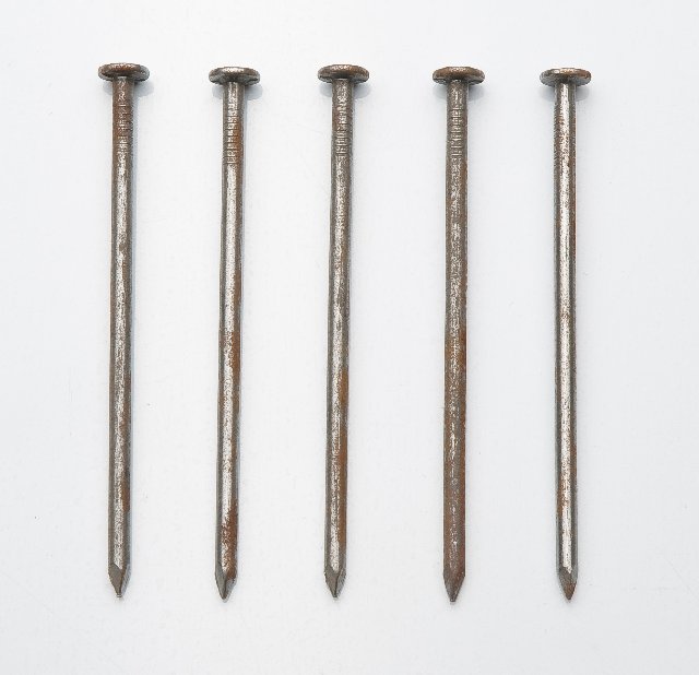 Common Nail, Common Nails, Nails